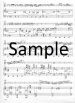 Concerto (ed Rampal)