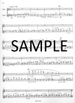 Concerto for Two flutes (2 scores)