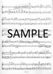 Concerto for Two flutes (2 scores)