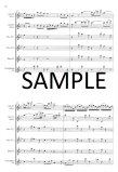 Concerto for Two Violins transcribed for two alto flutes and ripieno flutes
