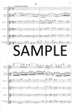 Concerto for Two Violins transcribed for two alto flutes and ripieno flutes