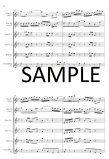 Concerto for Two Violins transcribed for two alto flutes and ripieno flutes
