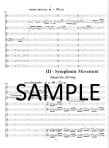 Concerto Grosso