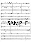 Concerto Grosso Op6 #8 (Christmas Concerto)