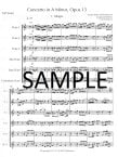 Concerto in a minor Op15 (#2)
