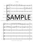 Concerto in a minor Op15 (#2)