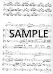 Concerto in b Minor