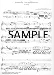 Concerto in b Minor