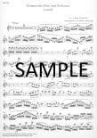 Concerto in b Minor