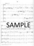 Concerto in b minor Op15#4
