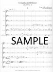 Concerto in b minor Op15#4