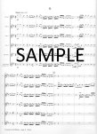 Concerto in b minor Op15#4