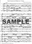Concerto in d