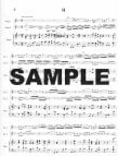 Concerto in d (BWV 1043)