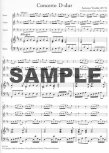 Concerto in D Major RV91