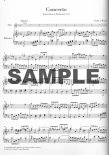 Concerto in D Minor (H484.1) (Wq22)