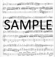 Concerto in D Op27(ed.Rampal)