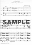 Concerto in e