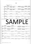 Concerto in E Major (BWV 1042)