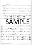 Concerto in E Major (BWV 1042)