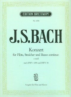 Concerto in e minor
