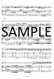 Concerto in e Minor for flute and piano reduction (ed.Sonntag)