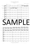 Concerto in e minor TWV 52:E1