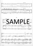 Concerto in e minor TWV 52:E1