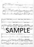 Concerto in e minor TWV 52:E1