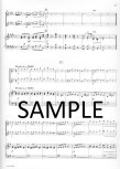 Concerto in e minor TWV 52:E1