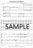 Concerto in e minor TWV 52:E1