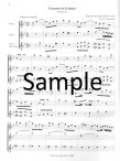 Concerto in g