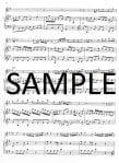 Concerto in G