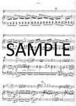Concerto in G