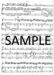 Concerto in G