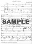 Concerto in G