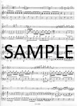 Concerto in g
