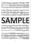 Concerto in G (ed.DeSmet)