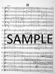 Concerto in G Major