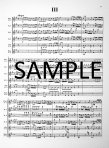 Concerto in G Major