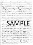 Concerto in G Major for 2 Solo Flutes and Flute Choir