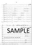 Concerto in G Major for 2 Solo Flutes and Flute Choir