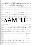 Concerto in G Major for 2 Solo Flutes and Flute Choir