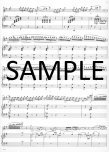 Concerto in G Op1(ed.Rampal)