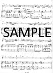 Concerto in G(ed.Richter)