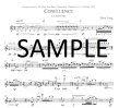 Confluence for Solo Flute