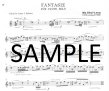 Contemporary Solo Flute (Volume 2)