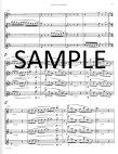 Conversation for Four Solo Flutes