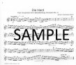 Cult Classics for Flute