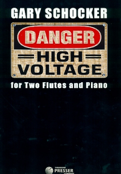 Danger: High Voltage